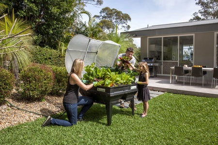 VEGEPOD - MEDIUM WITH COVER 1M X 1M