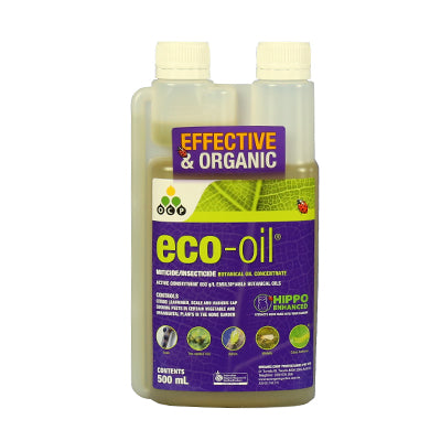 ECO OIL CONCENTRATE 500ML