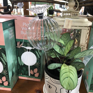 PLANT WATER BUBBLE - Top Fill - Ball