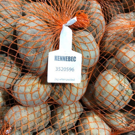 A bag of KENNEBEC seed potatoes, 2kg, with a white tag on top, netted packaging.