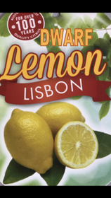 Citrus