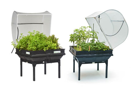 VEGEPOD - MEDIUM WITH COVER 1M X 1M