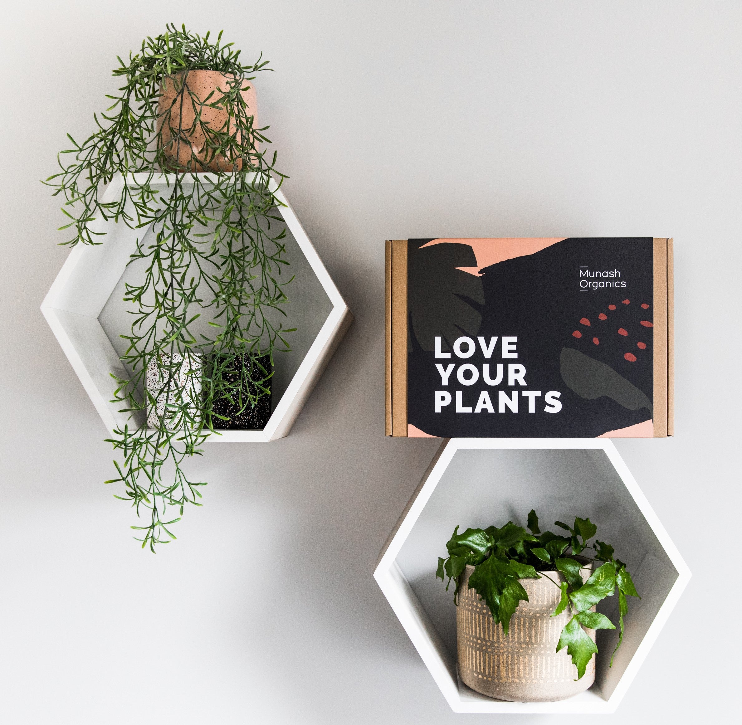 MUNASH LOVE YOUR PLANTS GIFT BOX