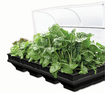 VEGEPOD - LARGE WITH COVER 2M X 1M
