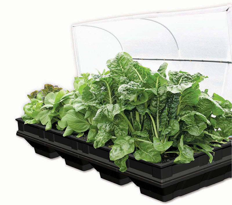 VEGEPOD - LARGE WITH COVER 2M X 1M