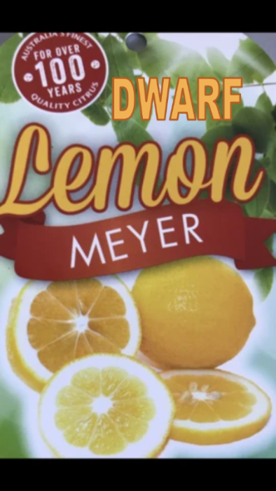 Packaging for Dwarf Lemon Meyer with images of lemons and the brand name prominently displayed.