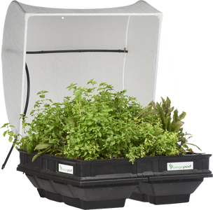 VEGEPOD - MEDIUM WITH COVER 1M X 1M