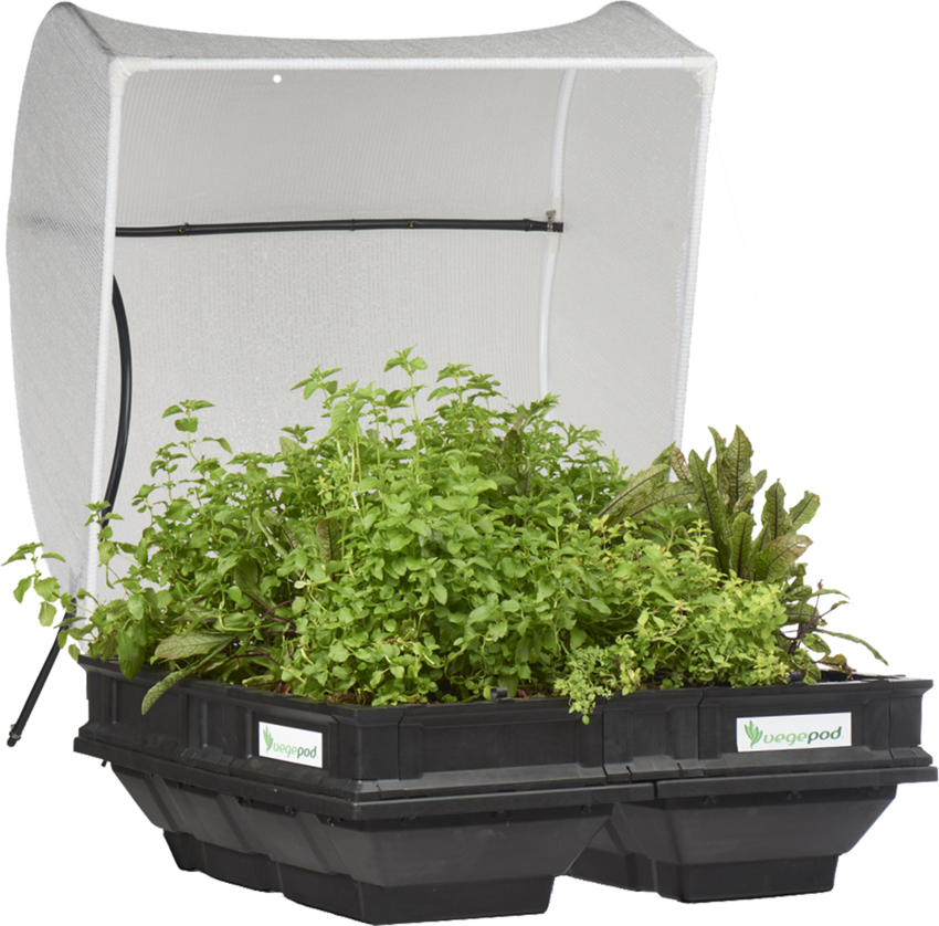 VEGEPOD - MEDIUM WITH COVER 1M X 1M