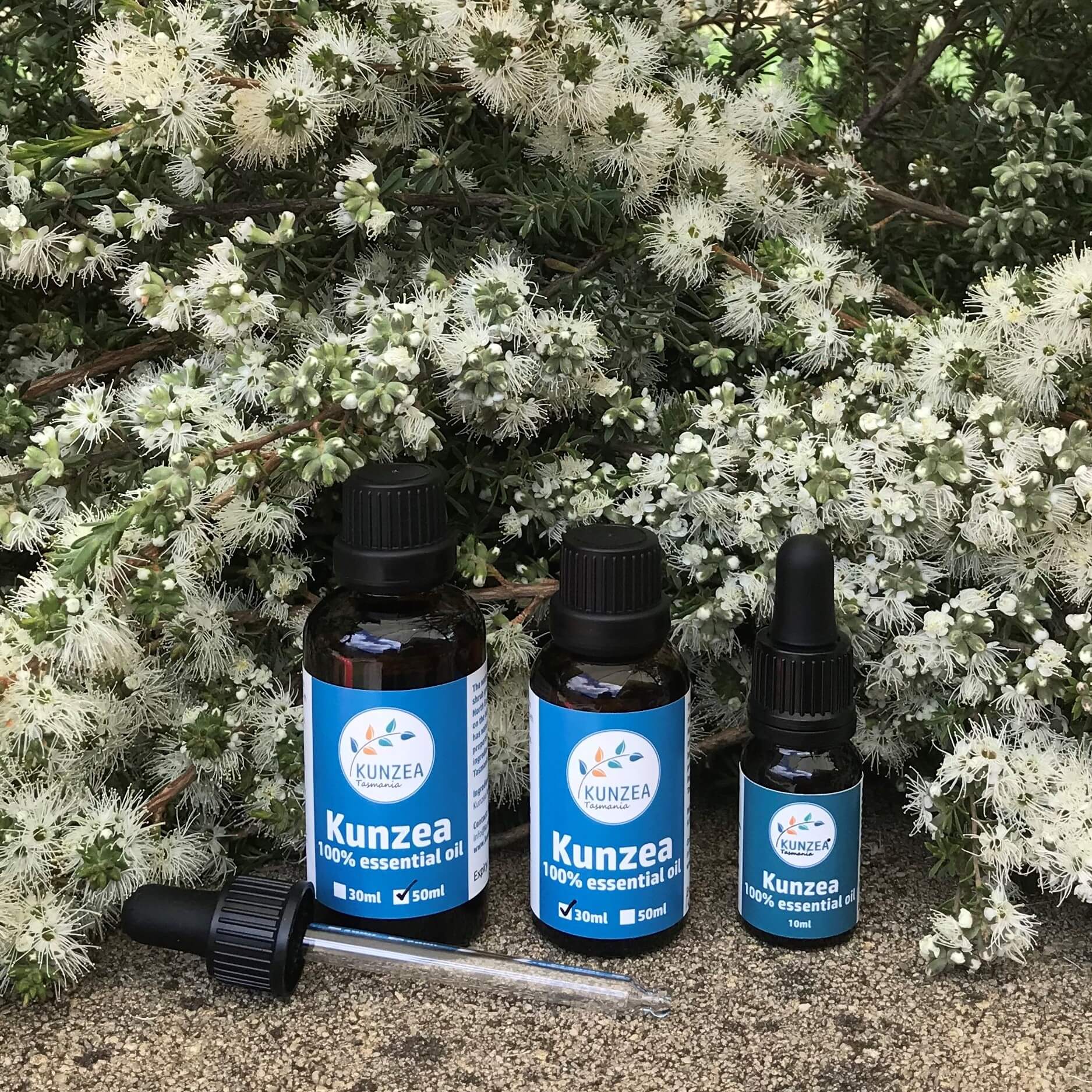 KUNZEA ESSENTIAL OIL 10ml