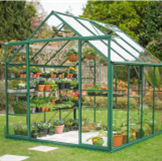 GREENHOUSE 6X12 SINGLE DOOR GLASS