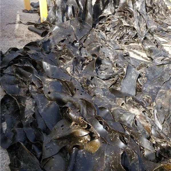 MULCH - KELP MIX MULTI VALUE PACK 3 BAGS FOR $22