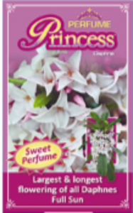 Daphne perfume princess label