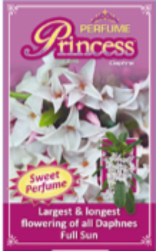 Daphne perfume princess label