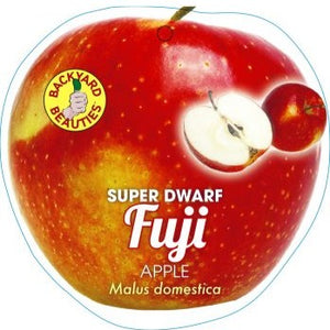 APPLE SUPER DWARF RED FUJI - BARE ROOTED