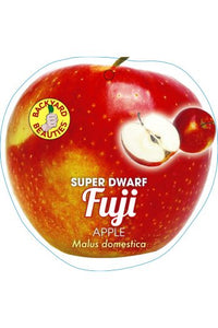 PRE ORDER - APPLE DWARF RED FUJI - BARE ROOTED