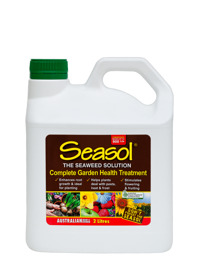 SEASOL 2 LTR CONCENTRATE