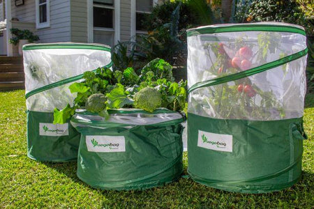 VEGEBAG VEGEPOD Needs 3 bags P/mix