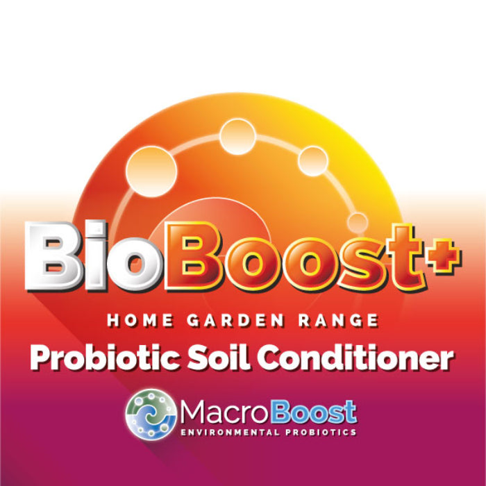 BIOBOOST 4L