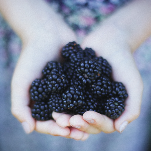 blackberries in childs hands