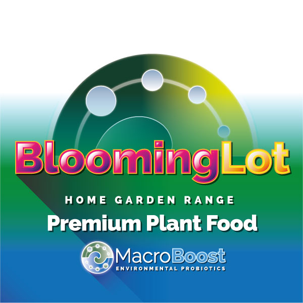 BLOOMING LOT 4L