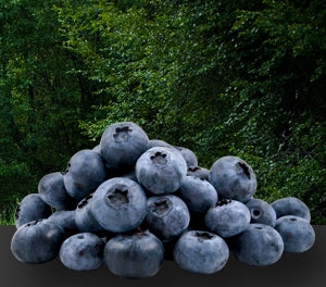 BLUEBERRY VITALITY
