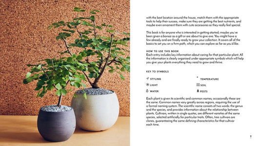 LITTLE BOOK OF BONSAI