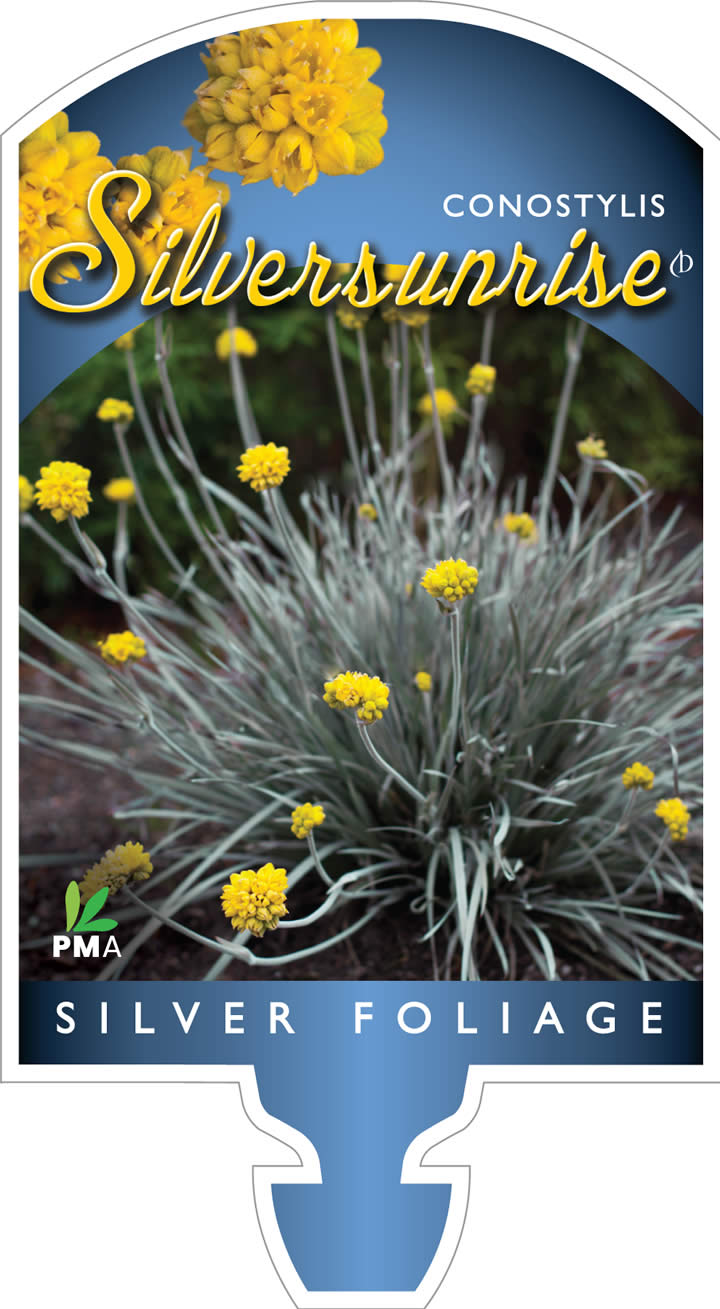 Grasses