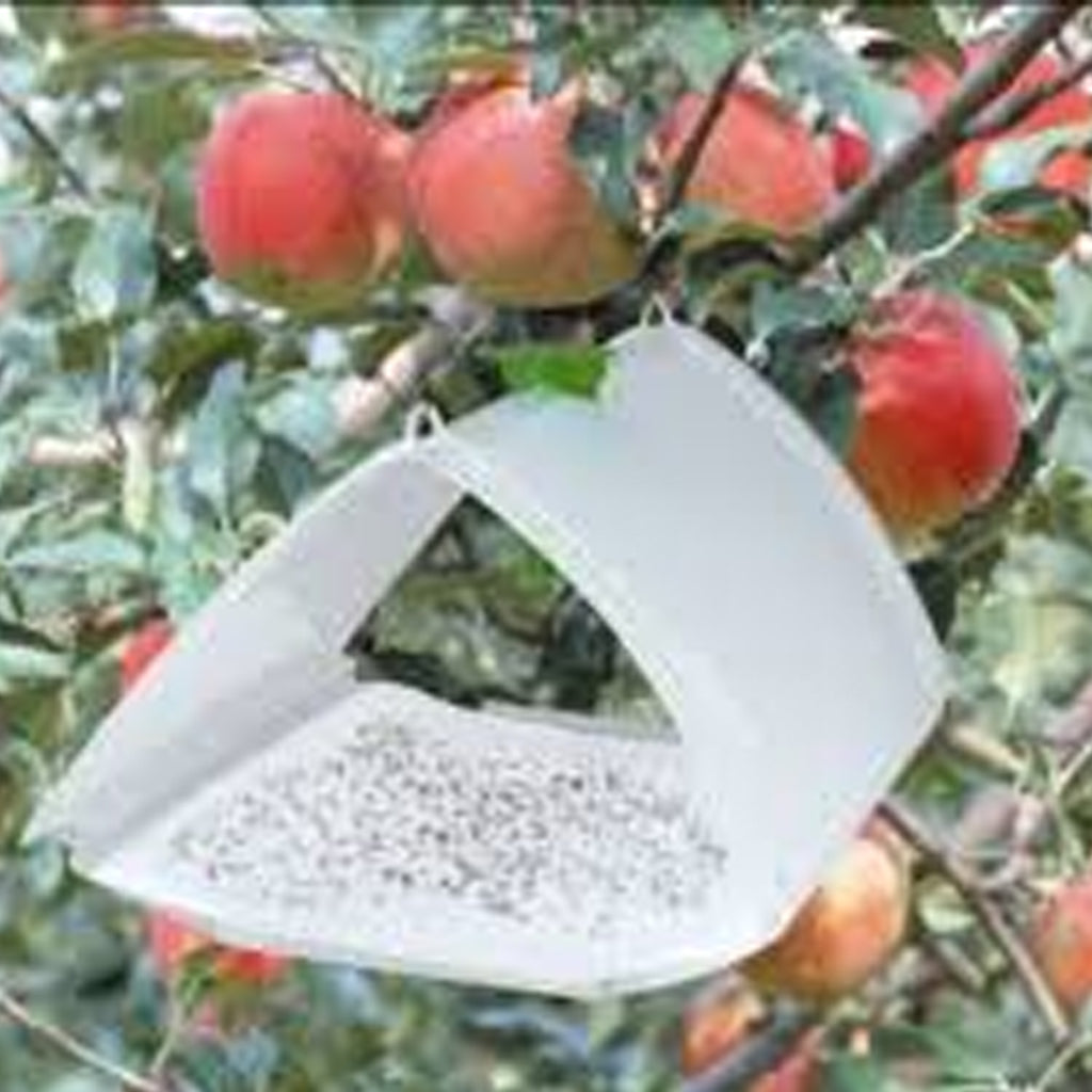 CODLING MOTH TRAP