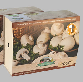 2 boxes of combo mushroom kits