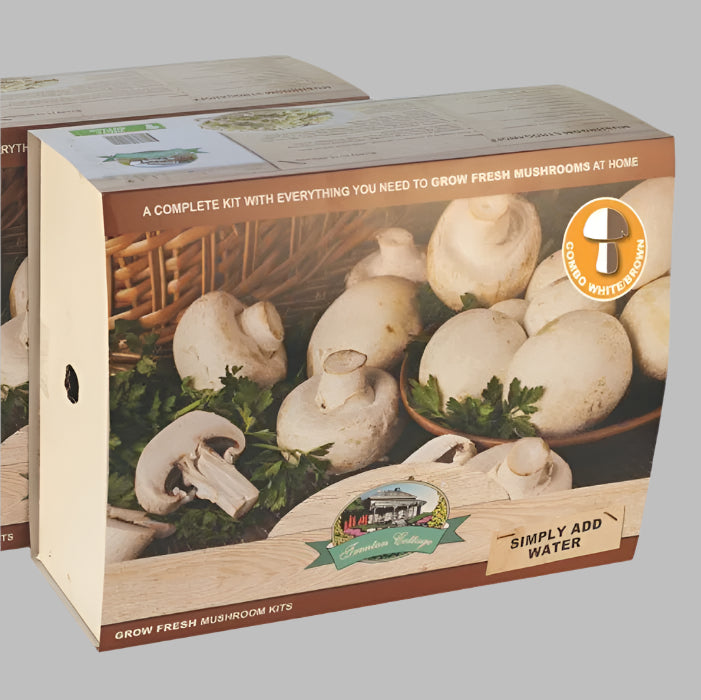 2 boxes of combo mushroom kits