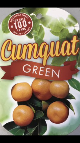 Packaging of Calamondin Cumquat Green fruits with a green foliage background, indicating the product is a type of citrus fruit.