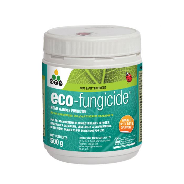 ECO FUNGICIDE 500GM