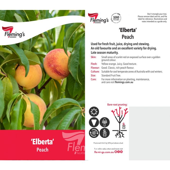 Fruit Trees Category