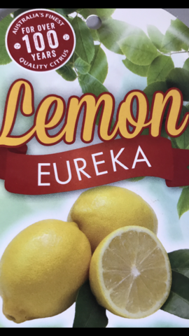 LEMON EUREKA 20CM