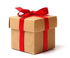 Shipping Free