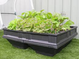 VEGEPOD - MEDIUM WITH COVER 1M X 1M