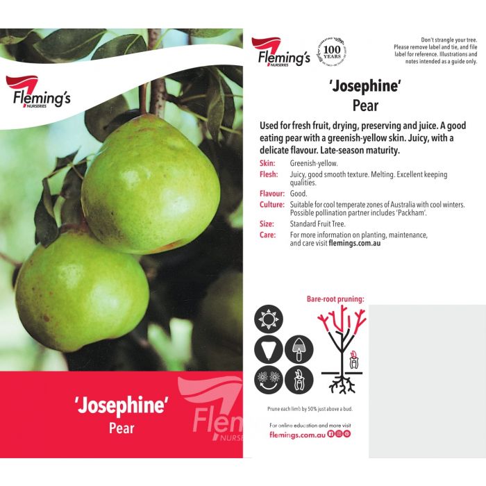 Fruit Trees Category