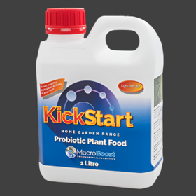 Kickstart by macroboost
