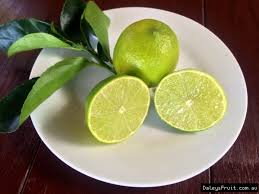 LIME TAHITIAN DWARF 20CM