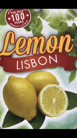 LEMON LISBON 25CM