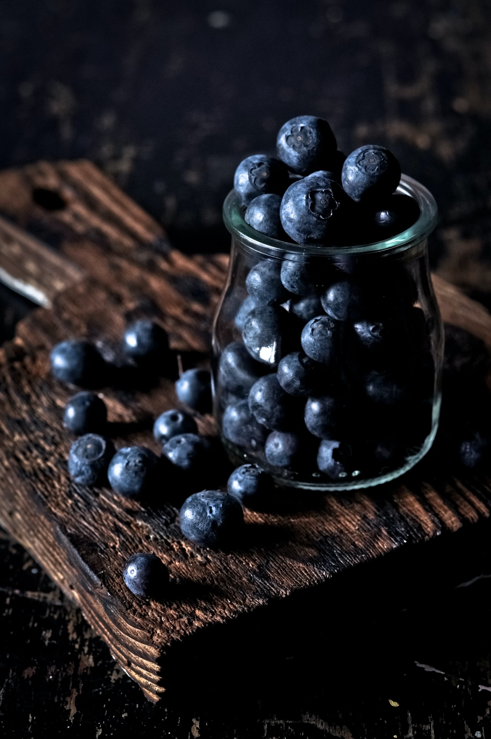 BLUEBERRY BLUE ROSE