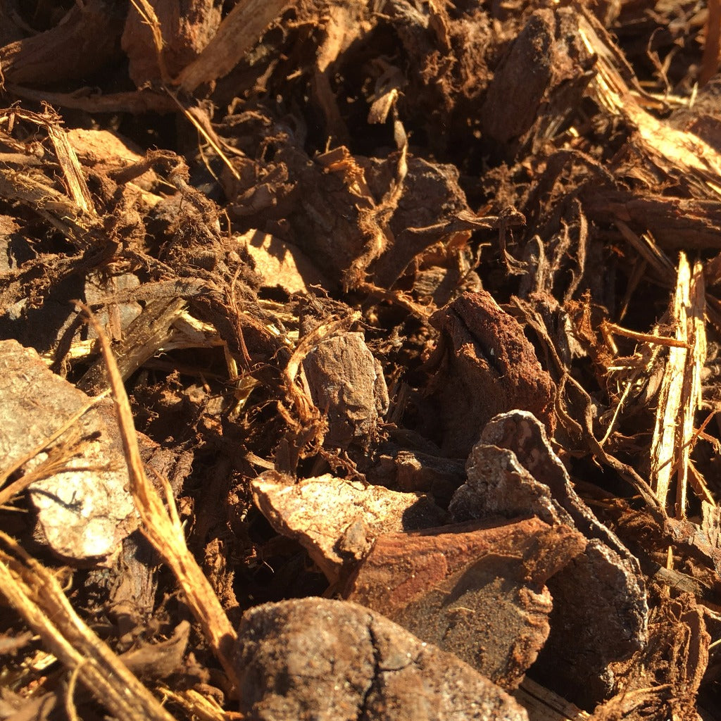 MULCH - MEDIUM COARSE PINE BARK 40LT