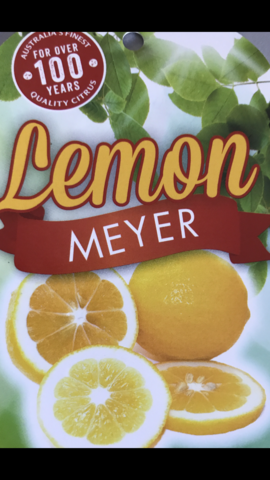 LEMON MEYER 25CM