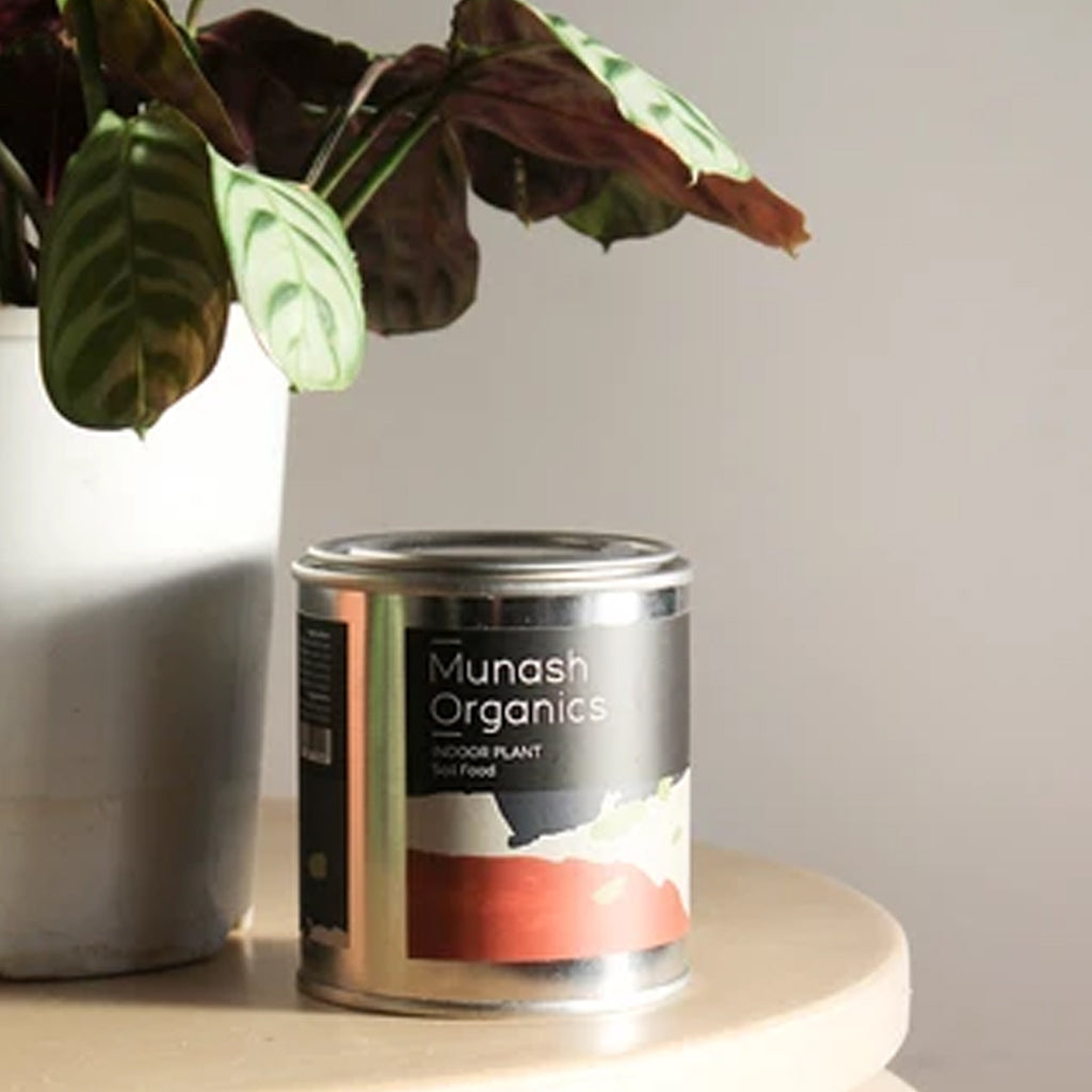 MUNASH ORGANICS INDOOR PLANT SOIL FOOD 400GM