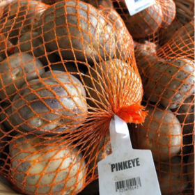 A bag of 'PINEYE' seed potatoes, 2kg in weight, with visible purple skin blots and pink eyes, netted in an orange mesh.