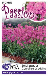 LYCHNIS PASSION