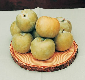 Fruit Trees Category