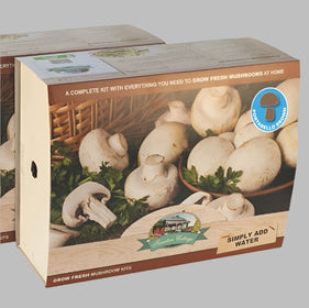Mushroom growing kit packaging with images of mushrooms and text on a white background