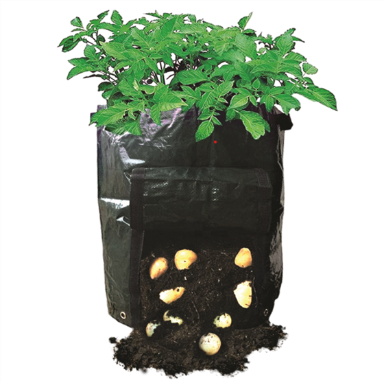 Potato Planting Bag - 2pk