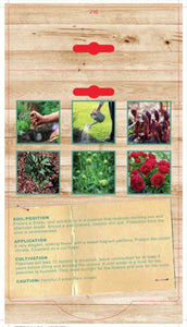 PAEONY RED ROBIN